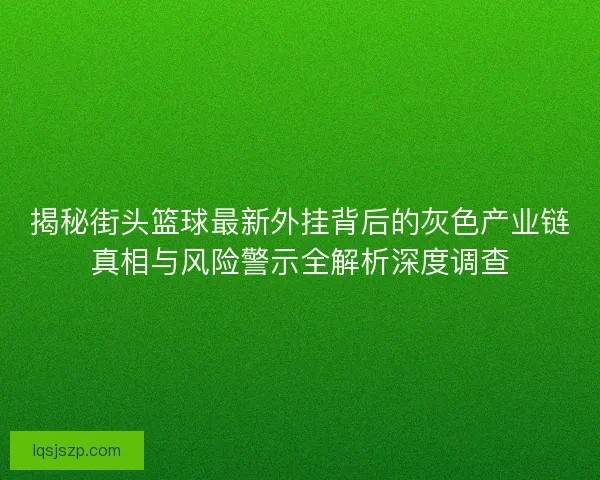揭秘街头篮球最新外挂背后的灰色产业链真相与风险警示全解析深度调查